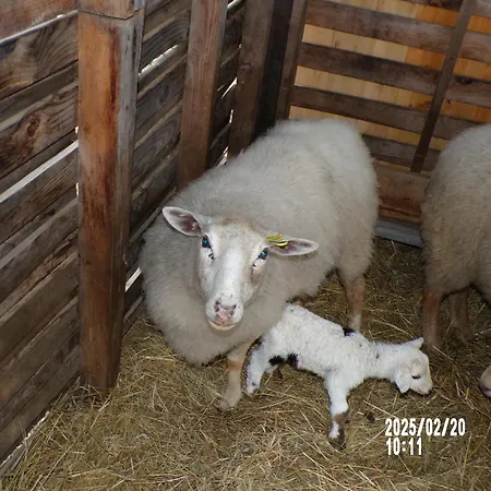 Le Relais De La Cavayere * Carcasona