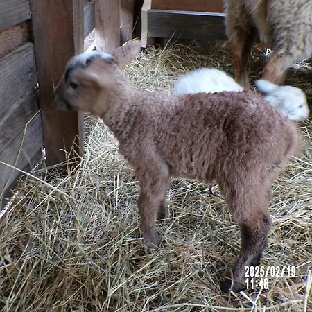 Le Relais De La Cavayere Сasa de vacaciones